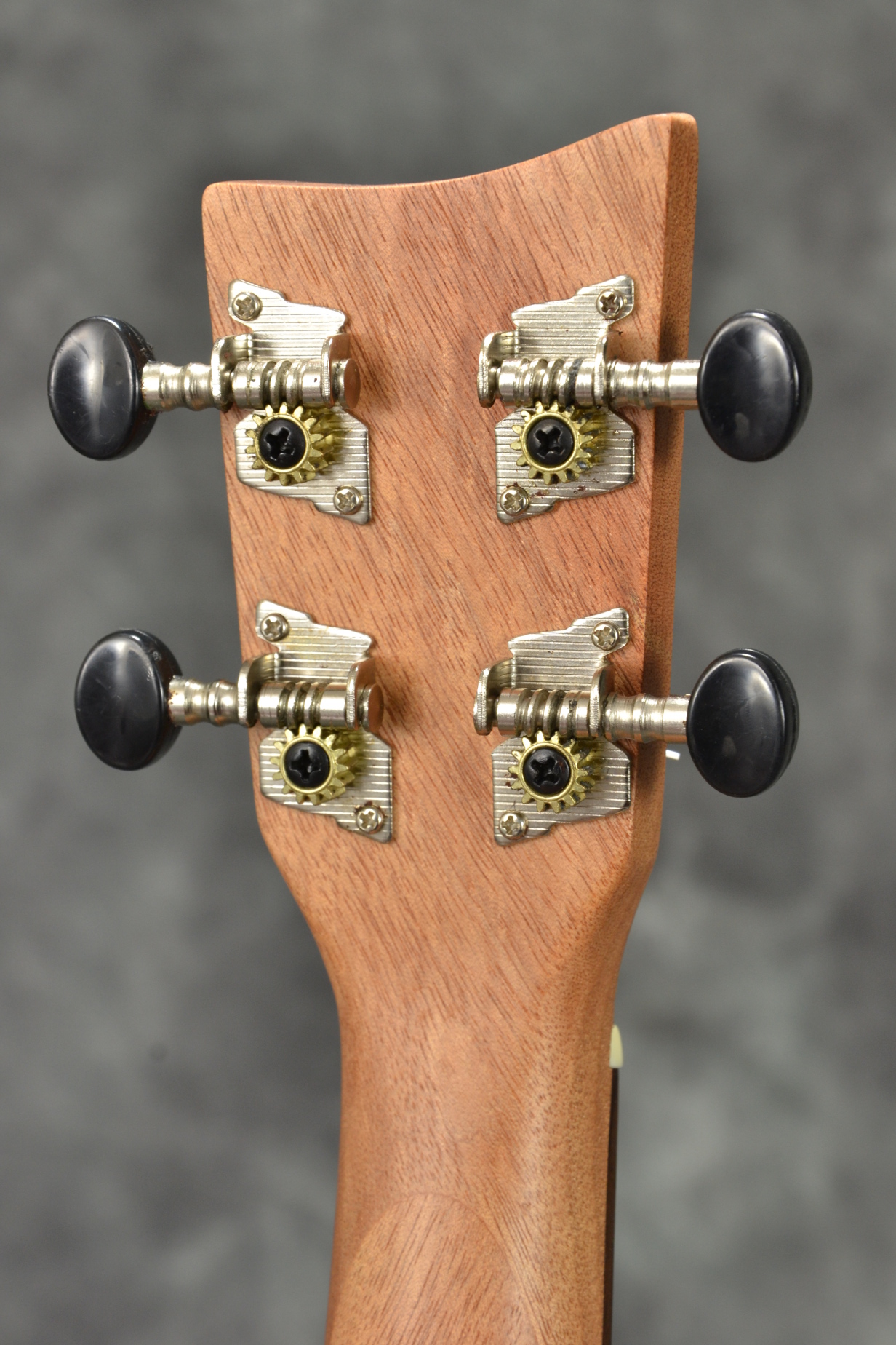 Ashtonウクレレ特集 – GuitarQuest イシバシ楽器が送る楽器情報サイト
