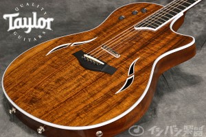 Taylor BTO Custom15 T5-Master Koa Acoustic Strings