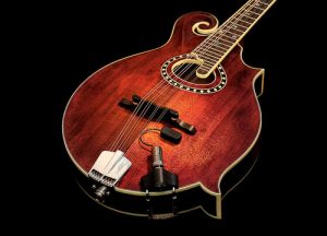 バンジョー、マンドリン、リゾネーター・ギターのピックアップ – GuitarQuest イシバシ楽器が送る楽器情報サイト