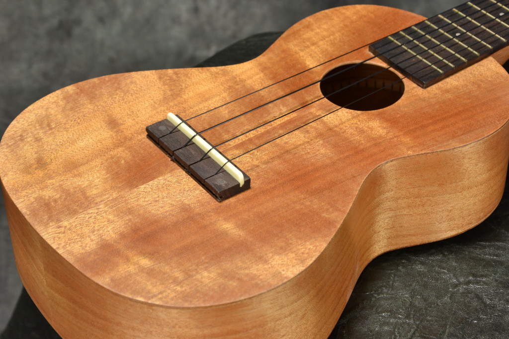 Ashtonウクレレ特集 – GuitarQuest イシバシ楽器が送る楽器情報サイト