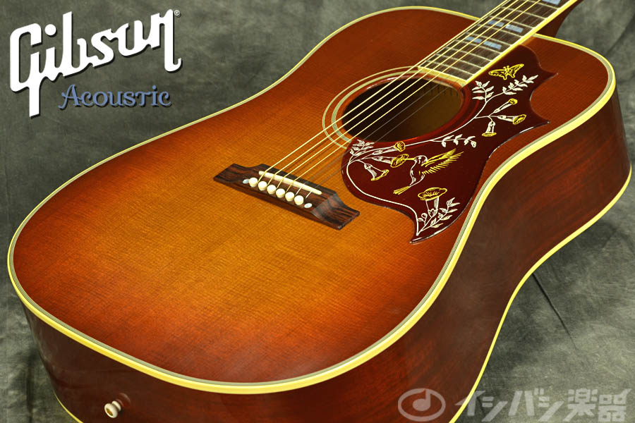 新品】 Gibson Hummingbird Vintage VCS (Vintage Cherry Sunburst 