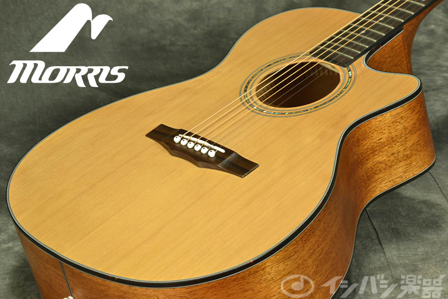 新品】 Morris S-701 NAT （ナチュラル）が入荷！！ – GuitarQuest