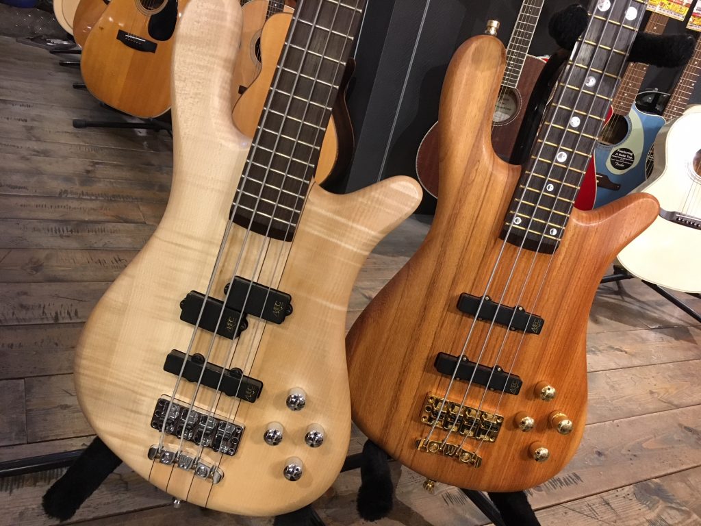 warwick streamer stage1 - 弦楽器、ギター