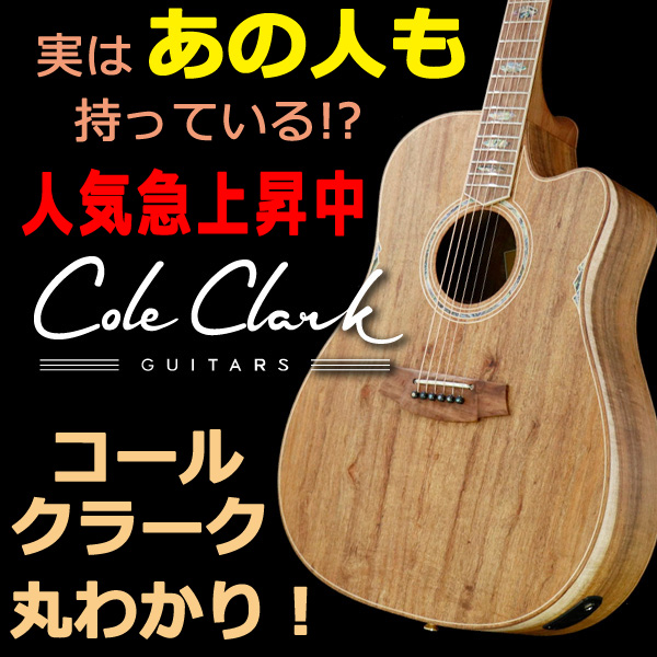 実はあの人も持っている！？人気急上昇中のアコギ「Cole Clark コールクラーク」 – GuitarQuest イシバシ楽器が送る楽器情報サイト